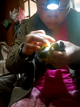 nelina 12345 online show from March 23, 2026, 1:31 am