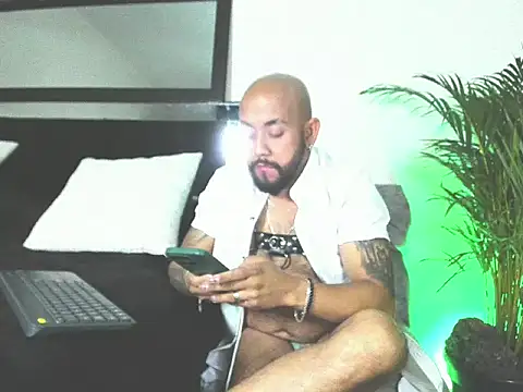 King bear 25 online show from February 26, 2026, 1:48 am