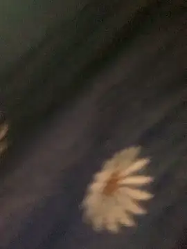 baeas-lan online show from March 6, 2026, 10:06 pm