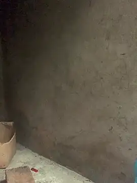 baeas-lan online show from April 21, 2026, 4:19 am