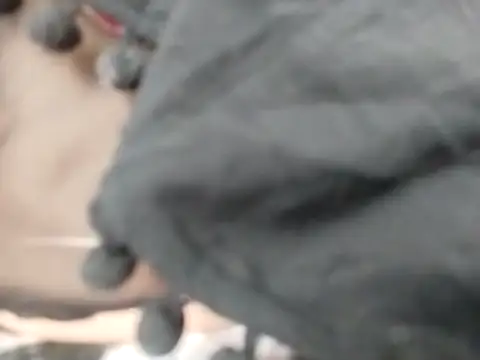 VeraVS online show from February 20, 2026, 9:21 am