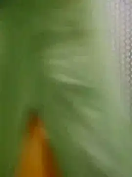 Jyoti hot online show from March 7, 2026, 4:42 am