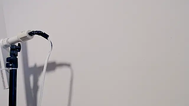 MARYXS1 online show from February 24, 2026, 12:58 pm