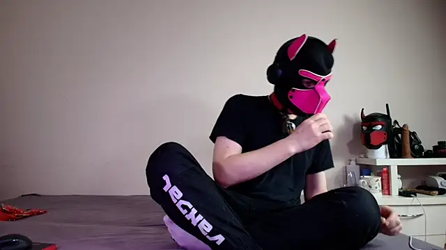 K9 GoodBoy online show from June 18, 2026, 5:28 pm