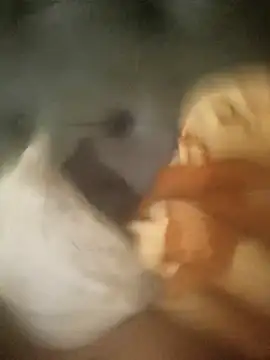 InferredPloce online show from April 23, 2026, 11:18 pm