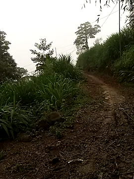 Nth5h online show from April 18, 2026, 11:27 pm