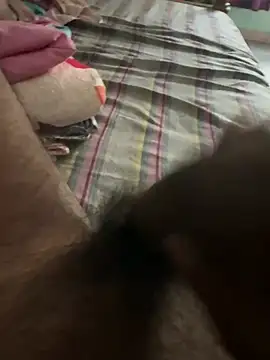 Kevintor  online show from April 16, 2026, 9:32 am