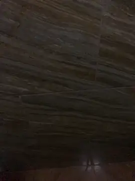 King cotize online show from February 26, 2026, 6:01 am