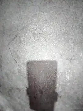 ngocbao11 online show from March 10, 2026, 12:54 pm