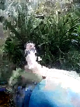 mar coral2 online show from July 7, 2026, 1:37 pm