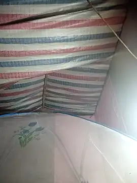 Susu-bae online show from February 26, 2026, 1:48 am