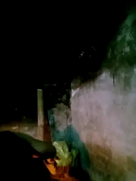 elen8800 online show from March 1, 2026, 11:34 am