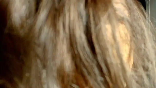 ambriosialove online show from March 3, 2026, 11:27 am