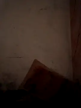 CoralN online show from April 1, 2026, 3:51 am