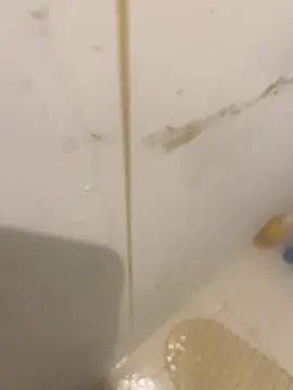 bichalouca online show from March 31, 2026, 9:15 pm