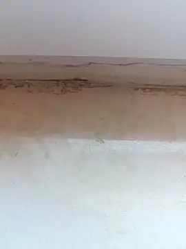 jeniferoo online show from March 11, 2026, 8:42 am