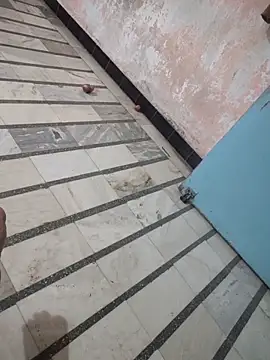 Tamillaxmi12 online show from March 7, 2026, 1:08 pm