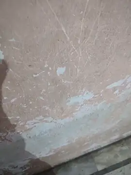 Tamillaxmi12 online show from April 16, 2026, 12:44 am