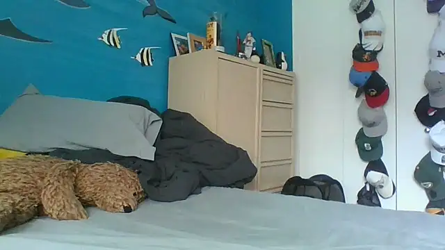 aloking2004 online show from March 17, 2026, 4:54 pm