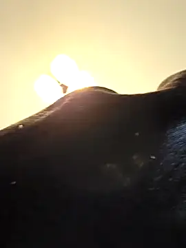 KinkyKittyBoy online show from April 19, 2026, 6:10 pm