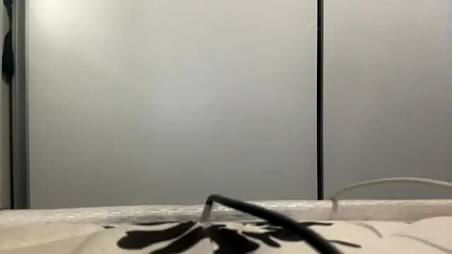 LatoshaLipitz online show from March 6, 2026, 4:36 pm