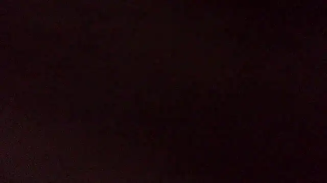 PUMPNPIG online show from April 8, 2026, 8:03 am