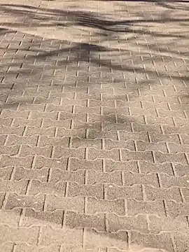 MarekPublicShow online show from March 6, 2026, 1:18 pm