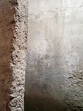 1997rojas online show from March 6, 2026, 3:52 pm