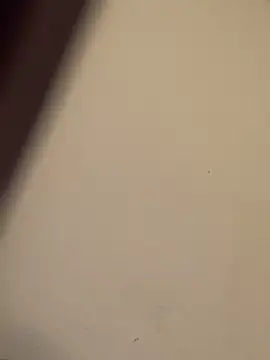 buivali00 online show from March 15, 2026, 11:38 am