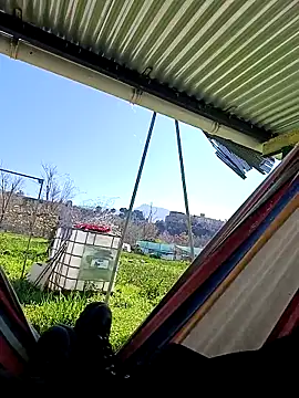 freedick93 online show from March 17, 2026, 1:58 pm