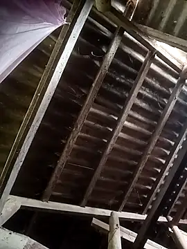 Nthk6 online show from March 18, 2026, 6:05 am