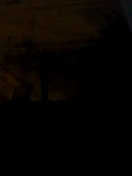 Snapshot of tuchokolatit0 chatting on April 3, 2026, 8:34 am tuchokolatit0 online show from April 3, 2026, 8:34 am