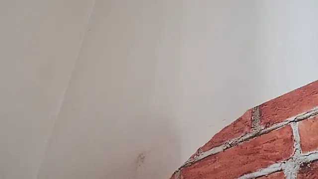 Sueliton2 online show from March 28, 2026, 5:34 pm