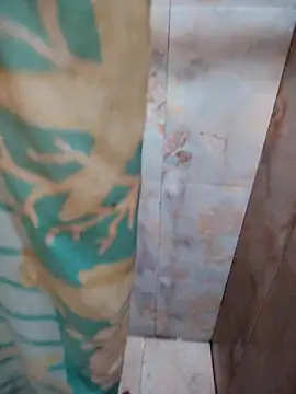 DosAlmasArdientesED online show from April 20, 2026, 2:58 am