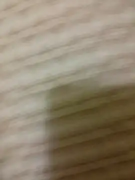 Snapshot of SteedyGee chatting on April 15, 2026, 8:31 pm SteedyGee online show from April 15, 2026, 8:31 pm