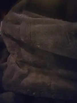 CocKtopus prim3 online show from April 21, 2026, 6:55 pm