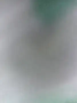 Bristy BigBoobs online show from April 11, 2026, 4:17 am