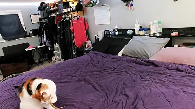 PolyCircus online show from April 12, 2026, 4:06 am