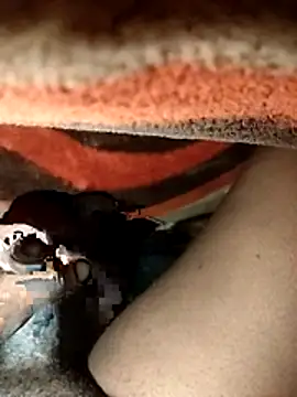 chickelikeme online show from April 9, 2026, 2:00 am