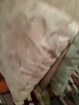 perfect vicy online show from April 7, 2026, 7:03 pm