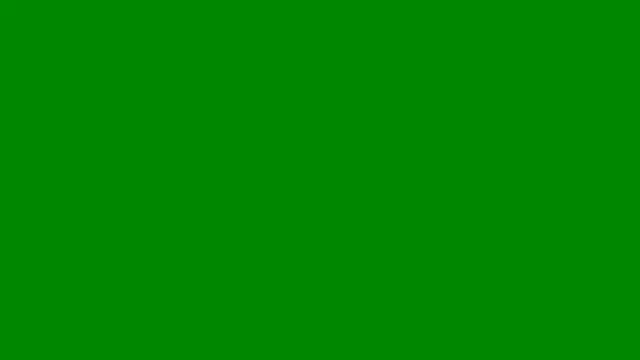 AshleyFerreer online show from May 14, 2026, 9:43 pm