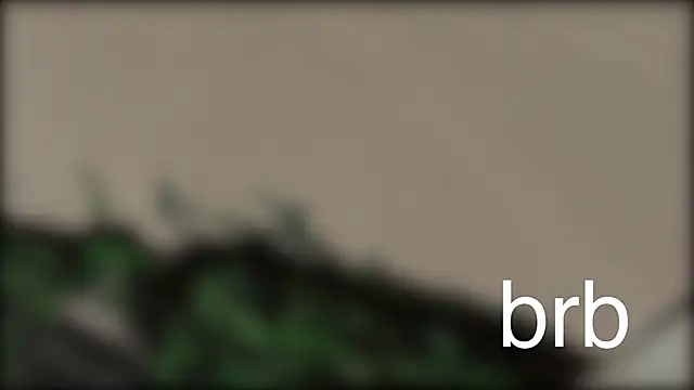 Snapshot of oakpatch chatting on April 11, 2026, 10:41 am oakpatch online show from April 11, 2026, 10:41 am