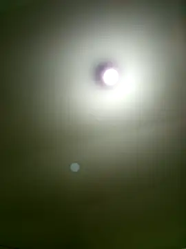 Mariofls online show from May 12, 2026, 7:11 pm