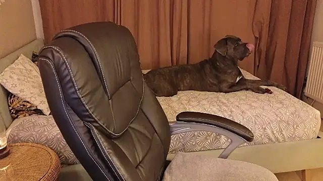 Sharon Red online show from December 2, 2024, 6:21 pm