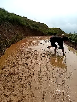 LucyBri01 online show from April 18, 2026, 2:04 am