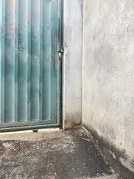 Showwspordezreais online show from April 23, 2026, 5:26 pm