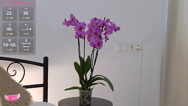 Snapshot of AnisLane chatting on May 9, 2026, 6:07 am AnisLane online show from May 9, 2026, 6:07 am
