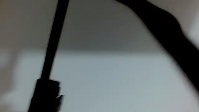luna bella160920 online show from June 3, 2026, 1:03 pm