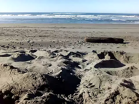 dog-naked online show from January 22, 2025, 10:26 pm