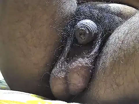 indiboy009 online show from September 17, 2025, 6:31 pm